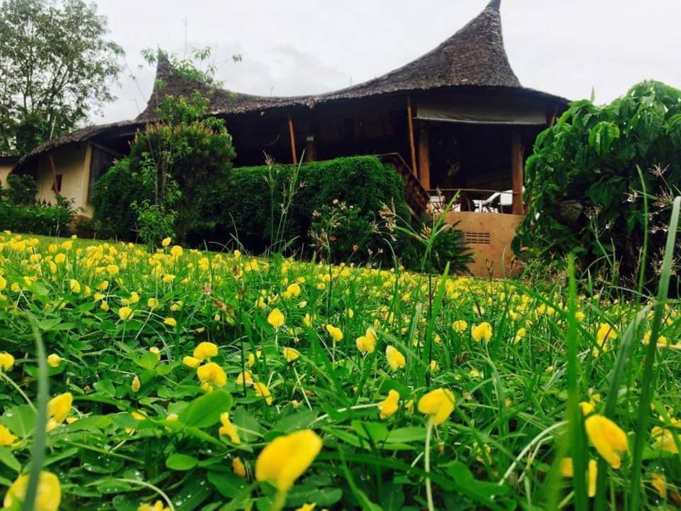 Mari Pai Resort Exterior foto